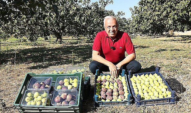 Başkan Şadi Özdemir'den üreticilere 'kooperatif kurun' çağrısı