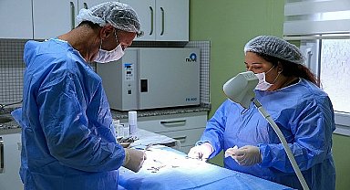 Buca Belediyesi'nden ücretsiz çip takma ve kısırlaştırma uygulaması