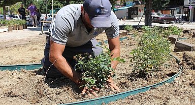  Büyükşehir'den ilçelerde peyzaj çalışması