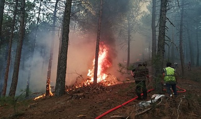 Büyükşehir ekipleri 75 Araç 200 personelle yangınlara müdahale ediyor