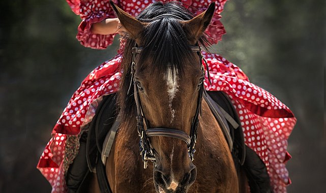 Çankırı’da çocuklar ata bindi