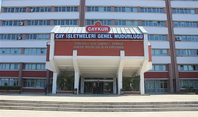 ÇAYKUR, yaş çayda serbest alımlara başlıyor