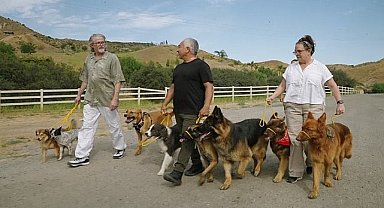 'Cesar Millan: İyi İnsan, İyi Köpek' 12 Ağustos Pazartesi 20.00'de National Geographic WILD Ekranlarında!