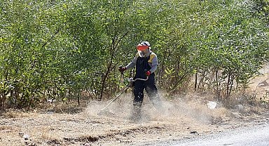 Didim Belediyesi ekipleri ilçenin göz bebeği olan Akbük Mahallesi'nde çalışmalarına ara vermeden devam ediyor. 