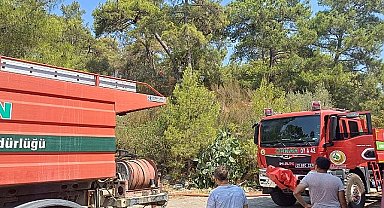 Göynük'te korkutan yangın