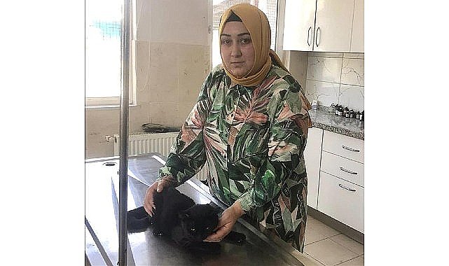 İnegöl Belediyesi Veteriner İşleri Müdürlüğü 266 Can Dostu Yeni Yuvasına Kavuştu