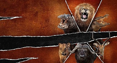 İzleyicileri Unutulmaz Bir Safari Yolculuğuna Çıkaracak Olan 'Ölümcül Safari' 1 Eylül Pazar Günü 20.00'de National Geographic WILD Ekranlarında!