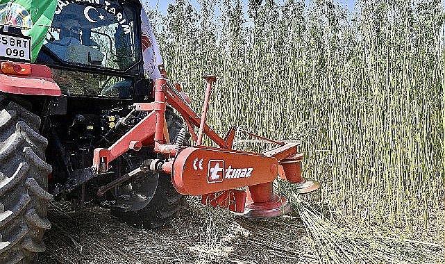 İzmir'de İlk Defa İzinli ve Kontrollü Olarak Lif ve Tohum Üretimi Amacıyla Yetiştirilen Kenevirin Hasadı Gerçekleştirildi