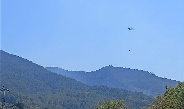 İzmir'de itfaiye ekipleri, Kemalpaşa yangınına müdahale ediyor