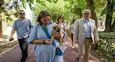 İzmir'de Patili Perşembe ile can dostlar yeni yuvalarına kavuştu