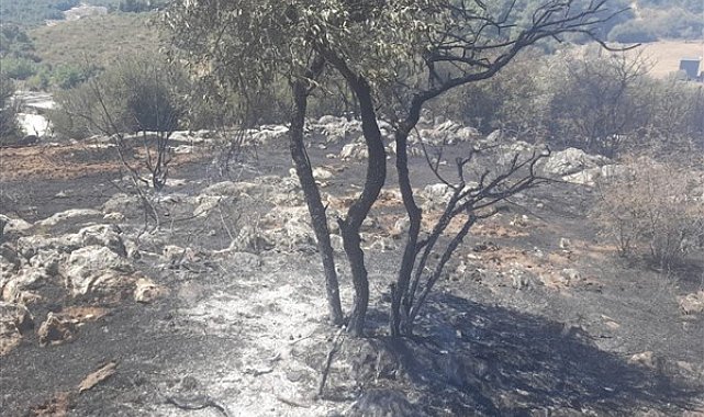 İzmir’de yangın fabrikalara ulaşmadan kontrol altına alındı
