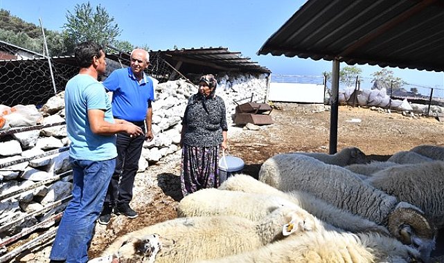İzmir'deki yangında meraları zarar gören çiftçilere 4 ton yem desteği verildi