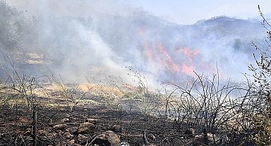 İzmir Yamanlar Dağı'nda çıkan yangınla mücadele sürüyor