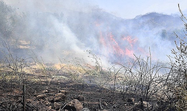 İzmir Yamanlar Dağı'nda çıkan yangınla mücadele sürüyor