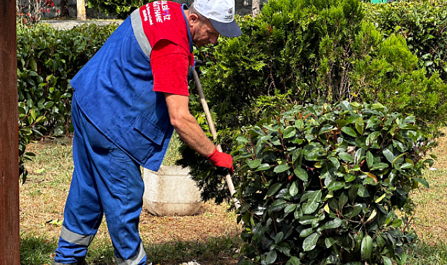 Kağıthane'de peyzaj çalışmaları devam ediyor
