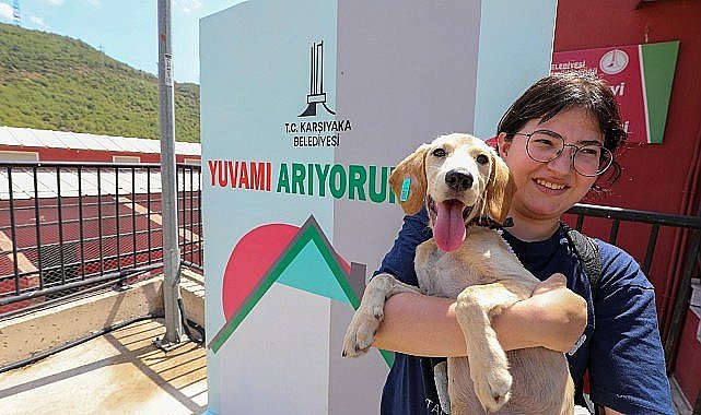 Karşıyaka can dostlara sahip çıkıyor