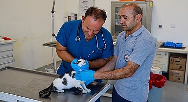 Karşıyaka'da yangından kurtarılan can dostlar emin ellerde 