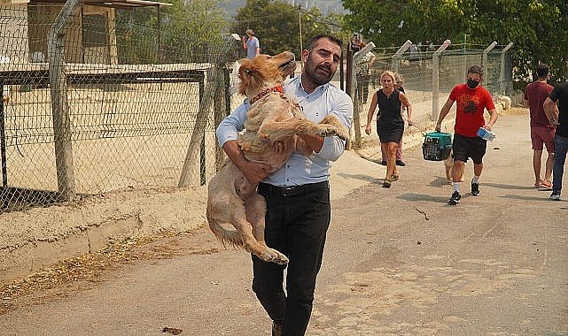 Karşıyaka'nın ciğerleri yanıyor!