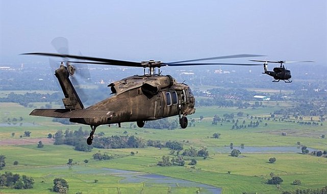 Kırmızı kategoride aranan terörist etkisiz hale getirildi