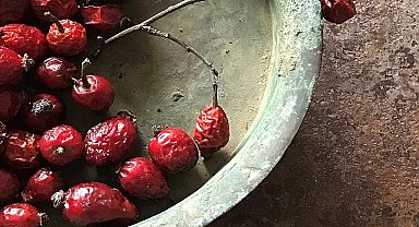 Lalehan Uysal'ın “Kurda, Kuşa, Aşa… Ve Göze…