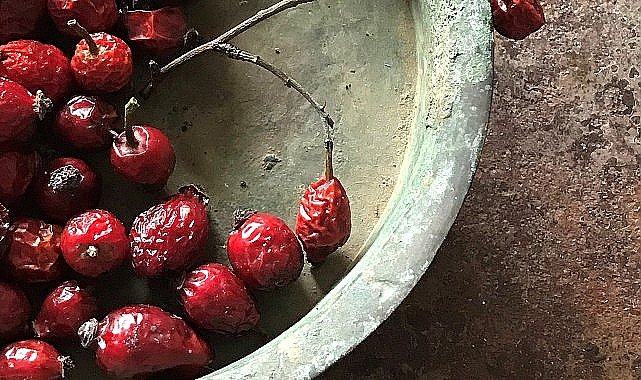 Lalehan Uysal'ın “Kurda, Kuşa, Aşa… Ve Göze…