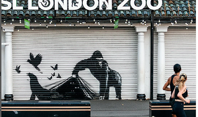Londra Hayvanat Bahçesi Banksy'nin yeni duvar resmini kapısından kaldırdı