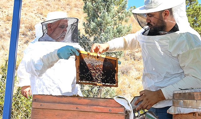 Mamak Belediye Başkanı Şahin, bal hasadını yerinde inceledi