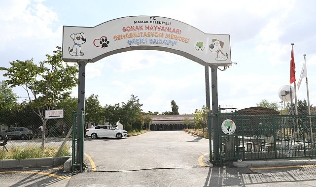 Mamak Belediyesi'nden “sokak hayvanları toplanıyor” iddialarına yanıt