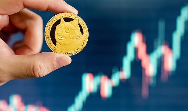 Memecoin’lerin yüzde 97’si işlevsiz kaldı