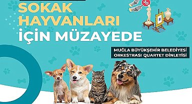 Muğla Büyükşehir Belediyesi tüm geliri sokak hayvanları yararına kullanılacak müzayede düzenliyor.
