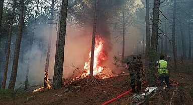 Muğla Büyükşehir Orman Yangınlarında Tüm Gücüyle Sahada 