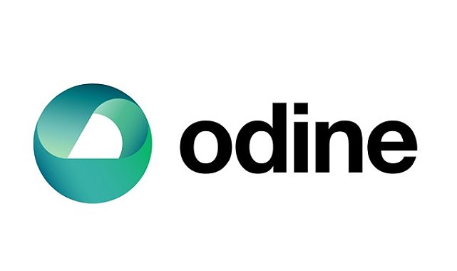 Odine, Bilişim 500 Araştırması'nda 1’inci sırada yer aldı