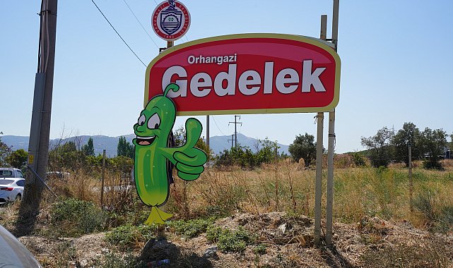 Orhangazi Belediyesi, Gedelek Turşu Festivali için hazırlanıyor