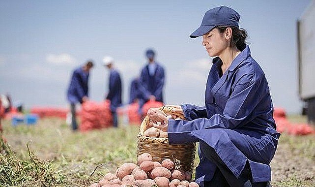 PepsiCo Türkiye'den 16 Ağustos Dünya Patates Gününde Yenileyici Tarımda Büyük Başarı: Patates Üretiminin %89'u Yenileyici Tarım Uygulamalarıyla Gerçekleşiyor