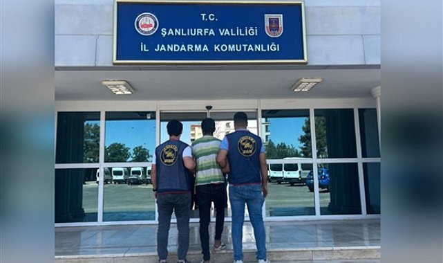 Şanlıurfa'da aranan 4 cinayet zanlısı tutuklandı