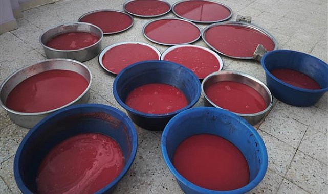 Şanlıurfa'da domates salçası damda yerini aldı