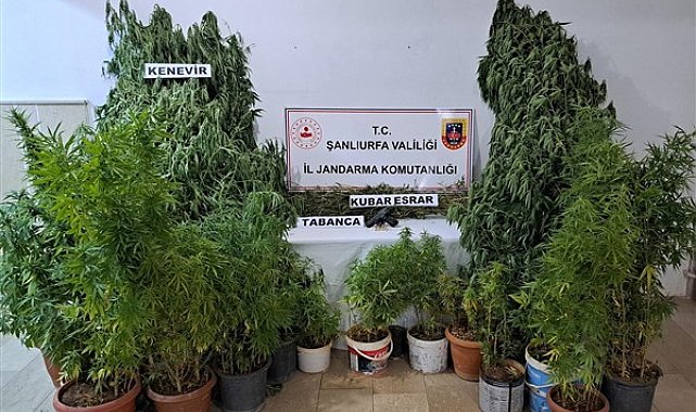 Şanlıurfa'da uyuşturucu operasyonunda 2 şahıs yakalandı