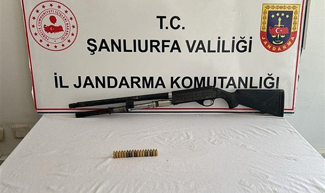 Şanlıurfa'da yasadışı kenevir ekimi yaptığı tespit edilen 3 şahıs yakalandı