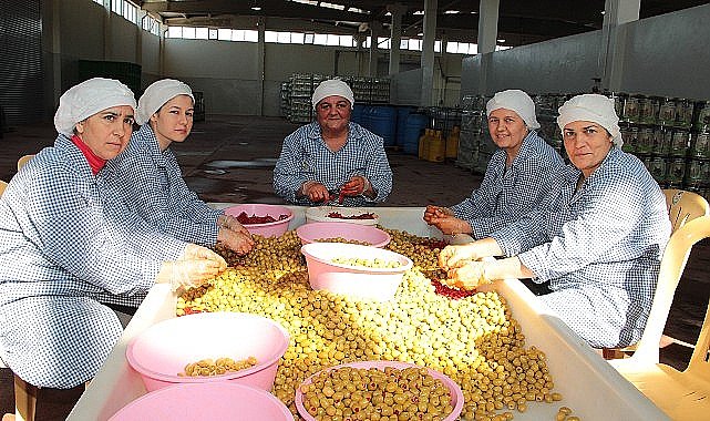 Sofralık zeytin ihracatı 200 milyon dolara koşuyor