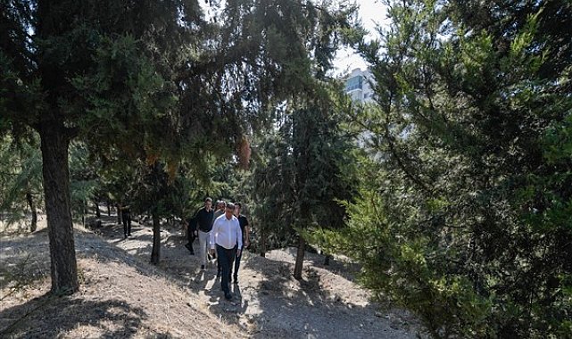 Tugay, yangın bölgesinde iyileştirme çalışmalarını başlattı