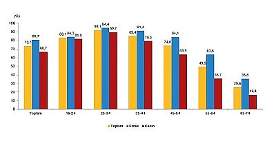 Tüik: İnternet kullanan bireylerin oranı %88,8 oldu