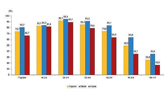 Tüik: İnternet kullanan bireylerin oranı %88,8 oldu