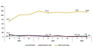 Tüik: İstihdam endeksi yıllık %4,2 arttı