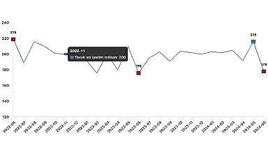 Tüik: Tavuk eti üretimi 177 bin 740 ton, tavuk yumurtası üretimi 1,69 milyar adet olarak gerçekleşti
