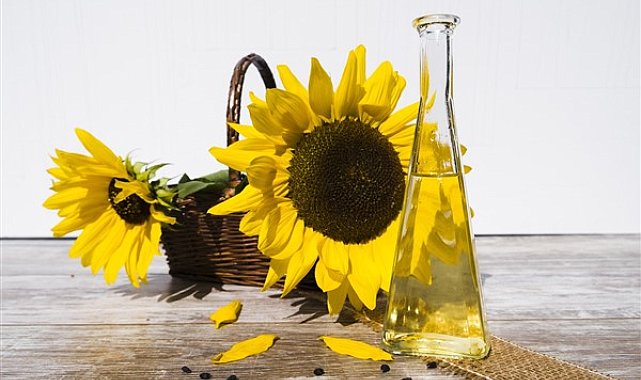 Yağlık ayçiçeği tohumu ve ham ayçiçeği yağı ithalatında tarife kontenjanı uygulanacak