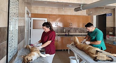 Yaşatmak İstiyoruz