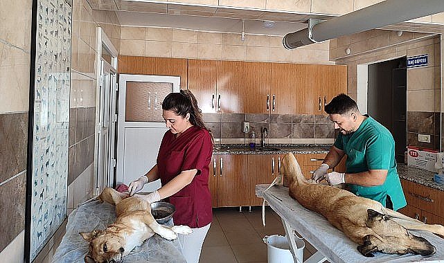 Yaşatmak İstiyoruz