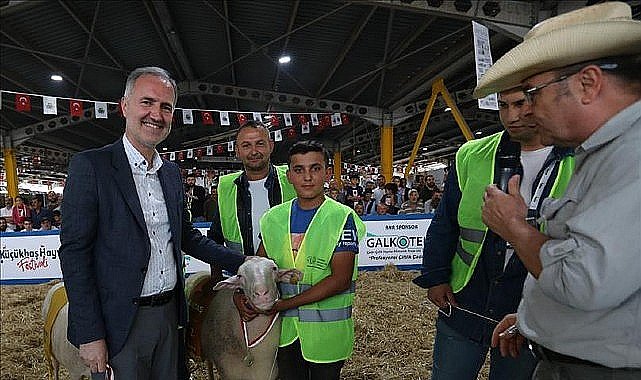 Yerli Tavuk Irkları İle Koçlar İnegöl'de Podyuma Çıkacak