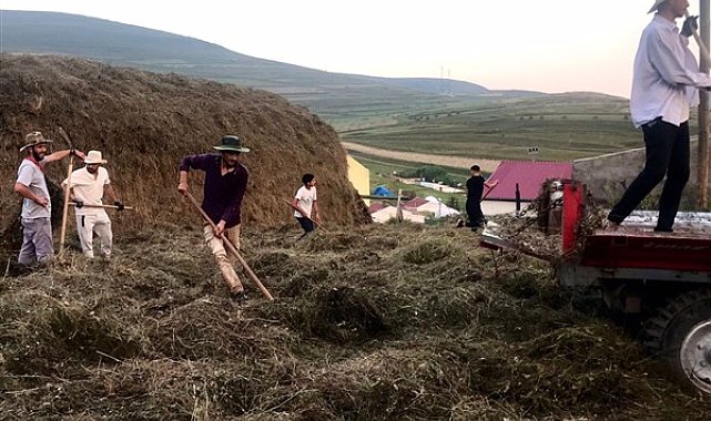 Ardahan’daki yağışlar çiftçilerin yem olarak topladığı otları çürüttü