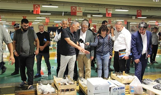 Balık sezonu başladı
